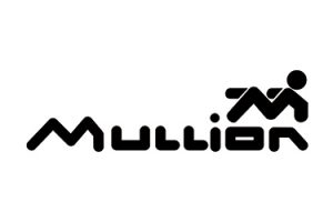 Mullion