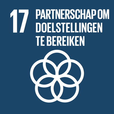 SDG 17