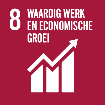 SDG 8